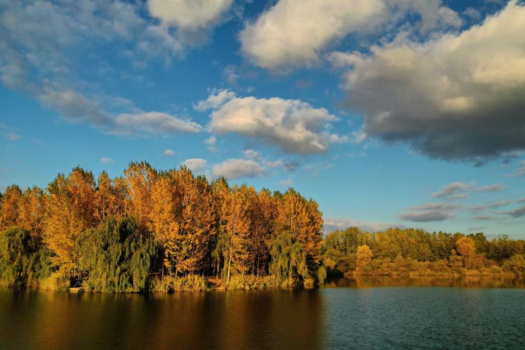 Varlaam Lake Sector A Landscape Sector A Landscape