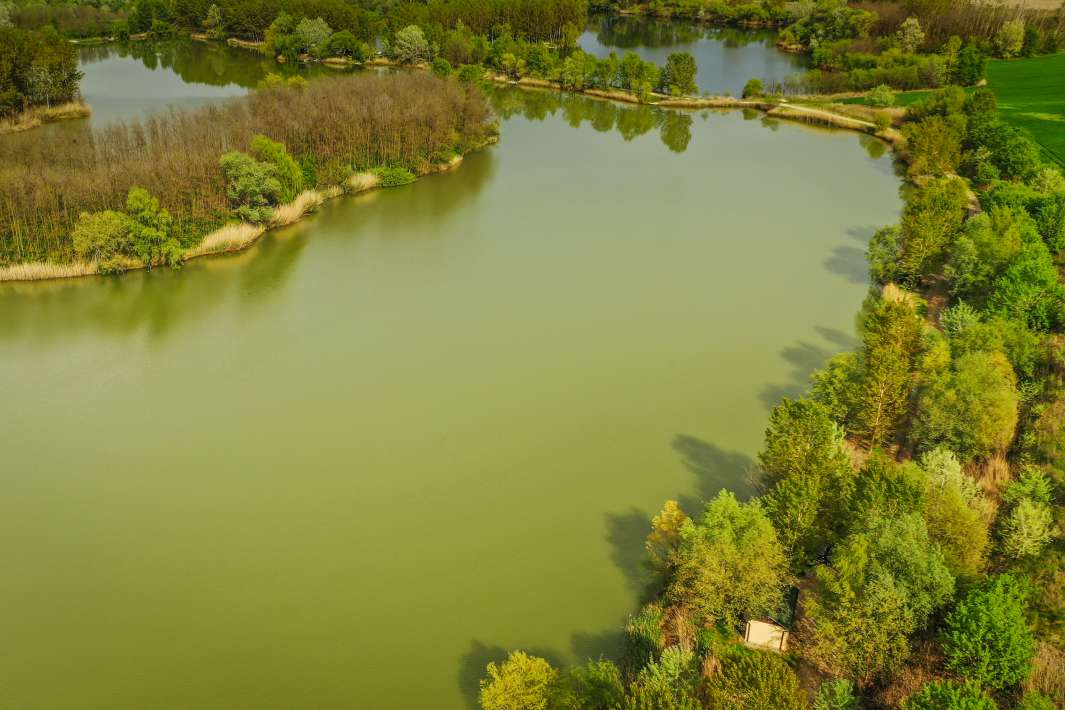 Varlaam Lake Sector B Landscape Lake B 3