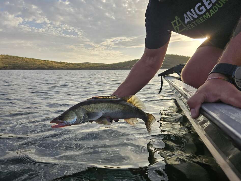 Angeln Extremadura Orellana Spanje 2 Extremadura Orellana Spanje