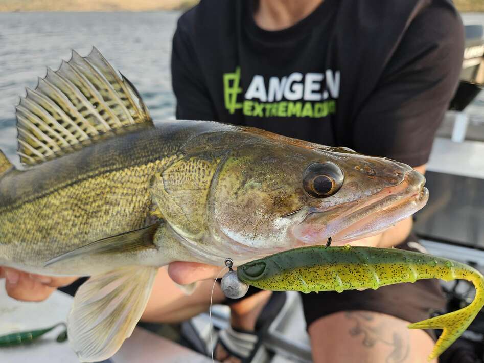 Angeln Extremadura Orellana Spanje 3 Angeln Extremadura 3