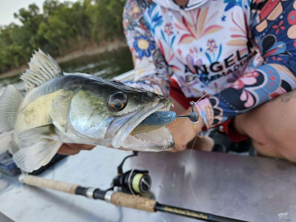 Angeln Extremadura Orellana Spanje Snoekbaars Angeln Spanje Snoekbaars