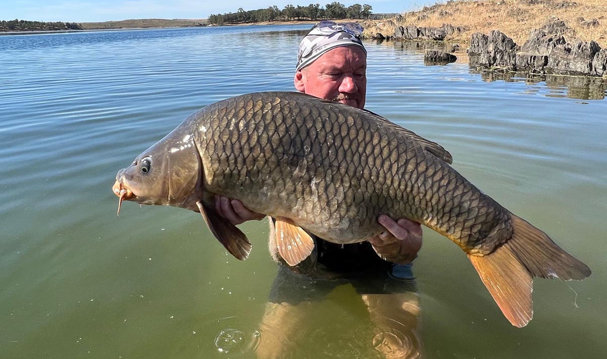 Karper Orellana Spanje Stuwmeer 5 Karper Spanje Stuwmeer