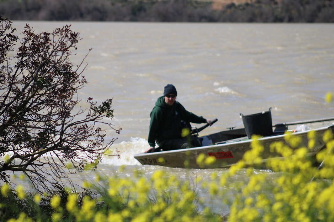 Caspe Fishing Chaos Ebro Spain Caspe Ebro 2