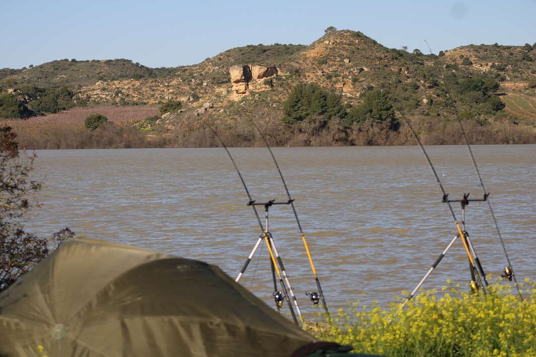 Caspe Fishing Chaos Ebro Spain Caspe Fishing Spain