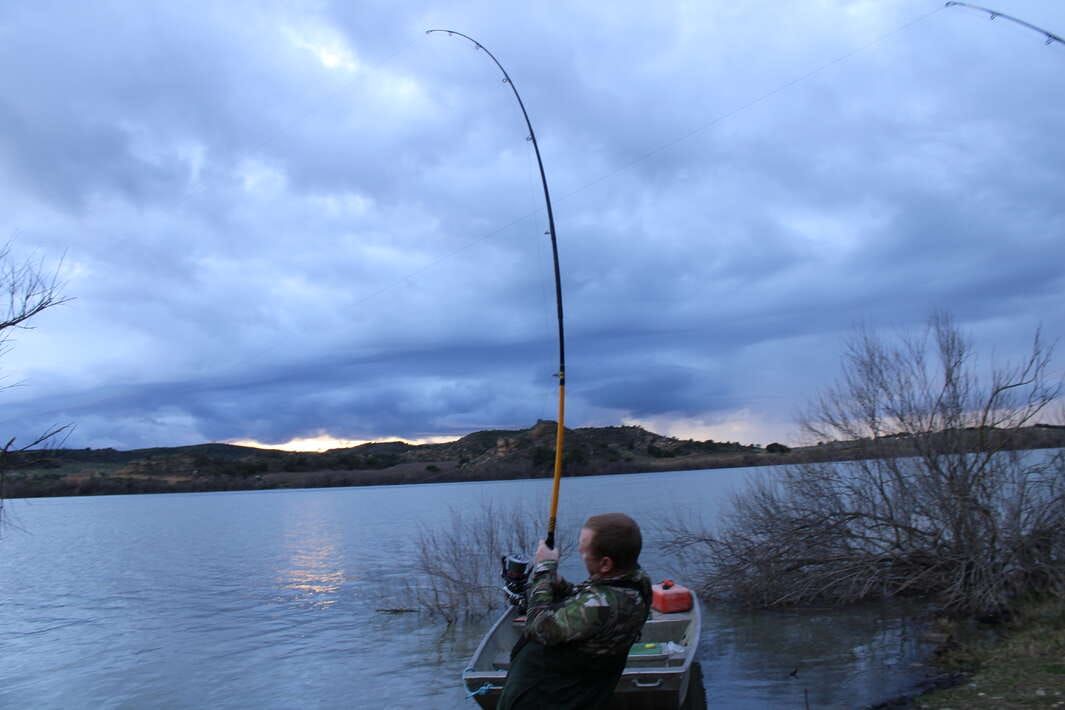 Caspe Fishing Chaos Ebro Spain Caspe Ebro Rods