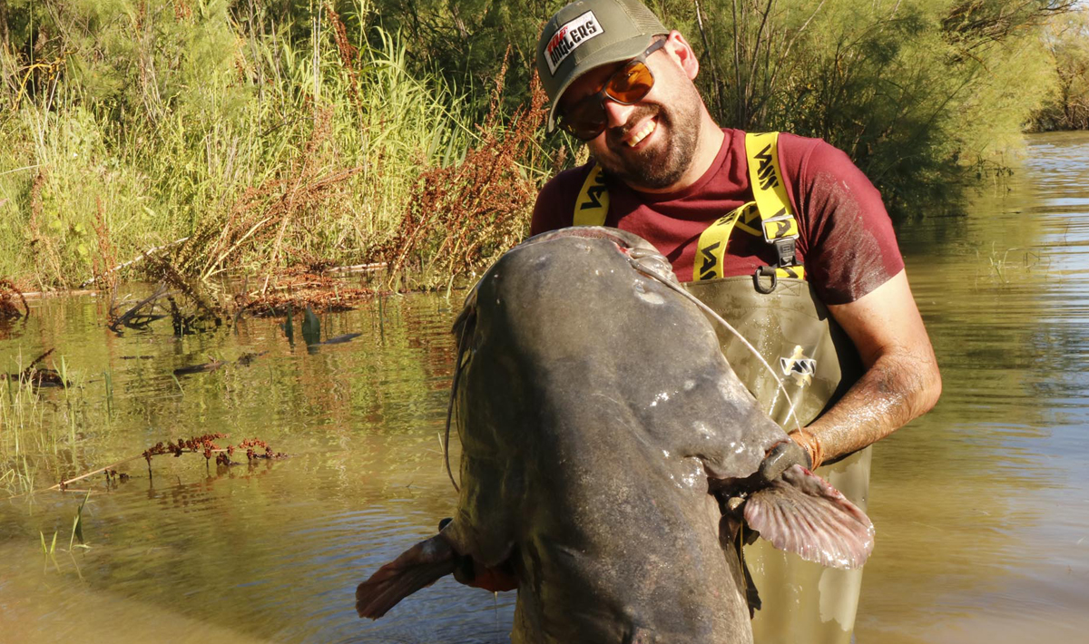 Meerval Meervalvissen Spanje Caspe Ebro Meervalvissen Spanje Visvakantie