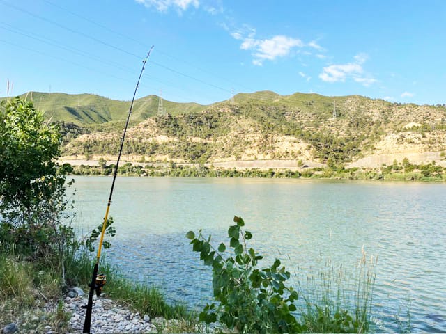 Ebro Deluxe Fishing Catfish Rods Ebro Fishing 2