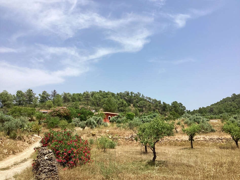 Ebro Deluxe Fishing Garden 2 Fishing Garden 2