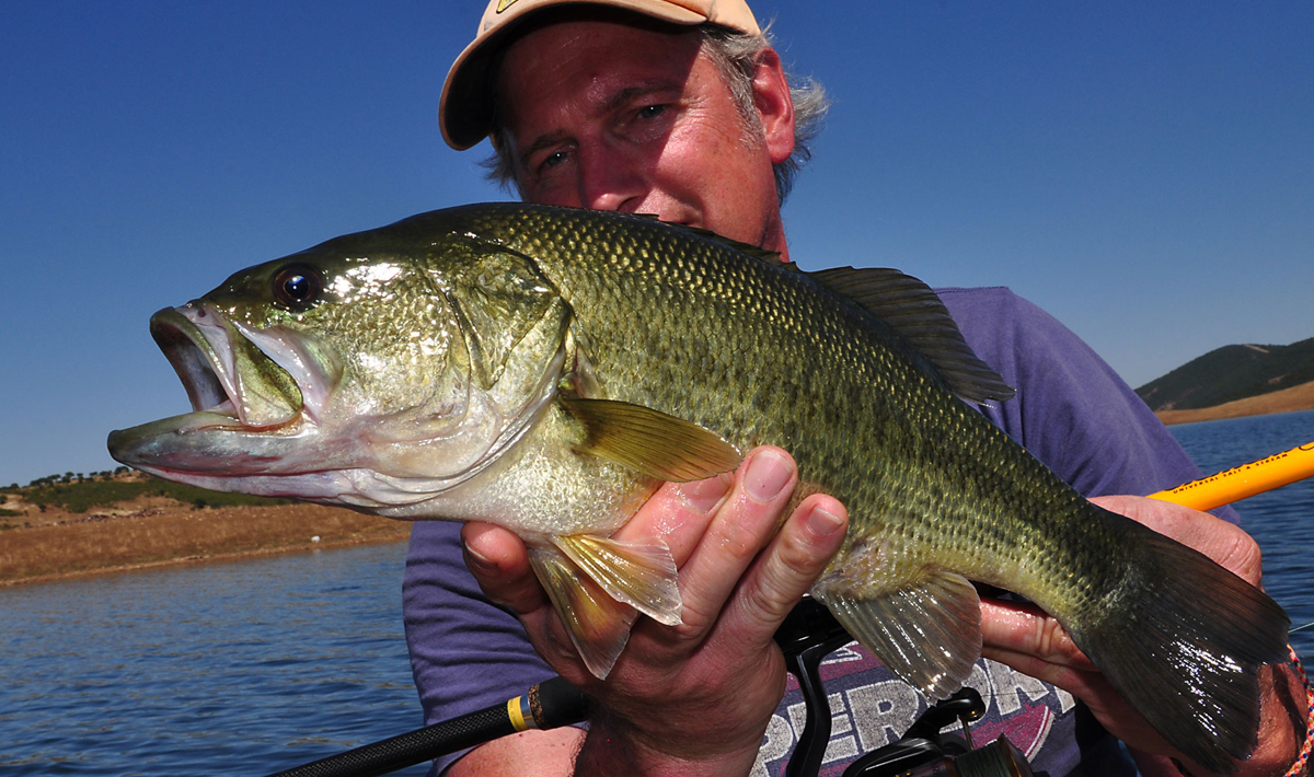 Blackbass Orellana Extremadura Spanje Roofvissen Extremadura Roofvissen Bass