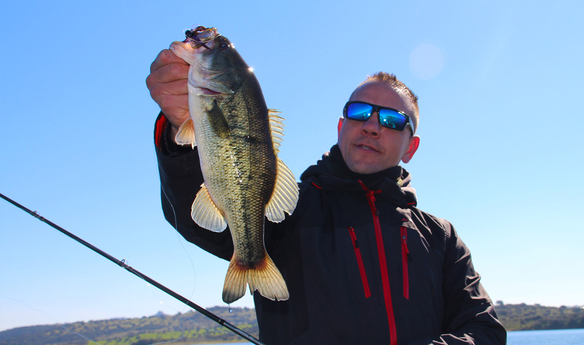Blackbass Orellana Extremadura Spanje Roofvissen Blackbass Extremadura Bass