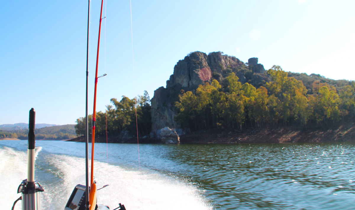 Sfeer Orellana Extremadura Spanje Roofvissen Sfeer Roofvissen Snoekbaars