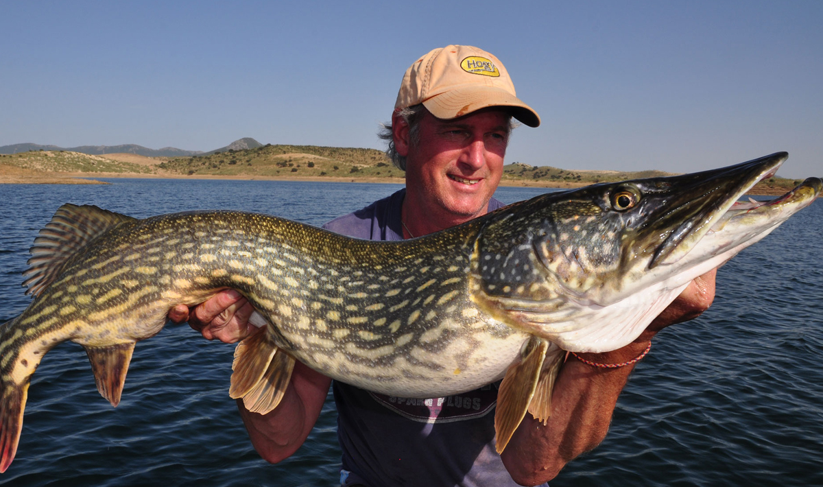 Snoek Orellana Extremadura Spanje Roofvissen Snoekbaars Bass 1