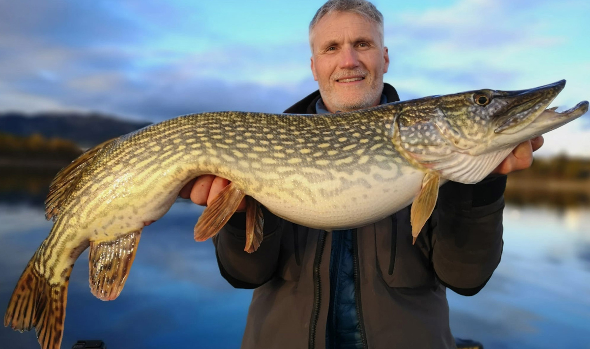 Snoek Orellana Extremadura Spanje Roofvissen Extremadura Roofvissen Black