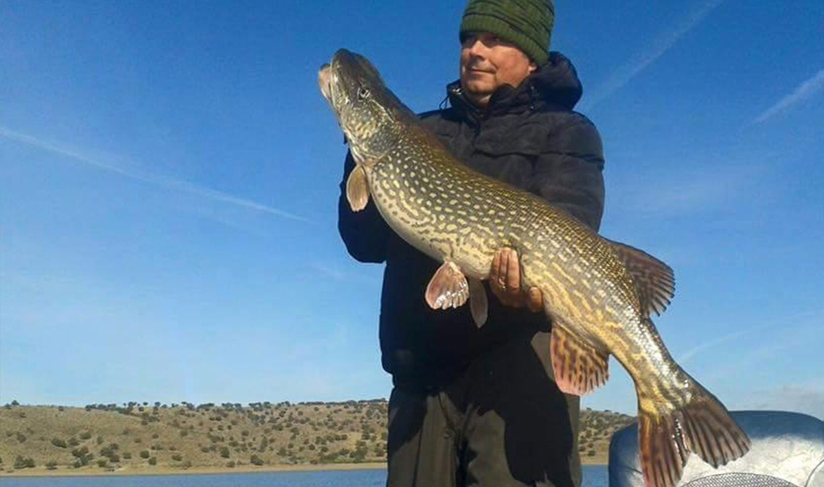 Snoek Orellana Extremadura Spanje Roofvissen Orellana Roofvissen Snoekbaars