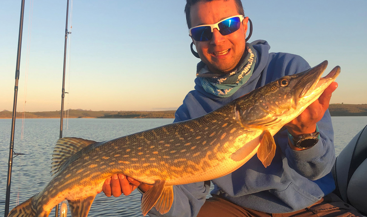 Snoek Orellana Extremadura Spanje Roofvissen Snoek Orellana 3