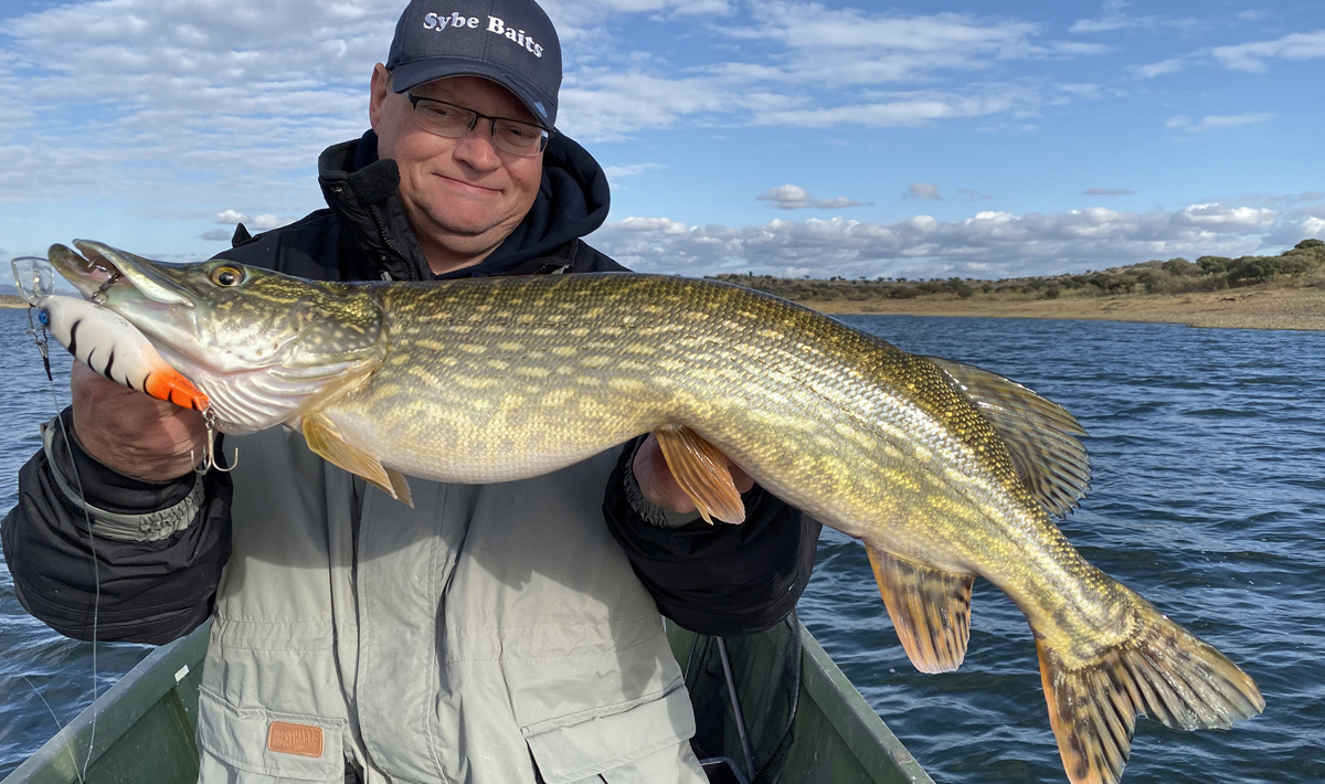 Snoek Orellana Extremadura Spanje Roofvissen Spanje Roofvissen Snoekbaars