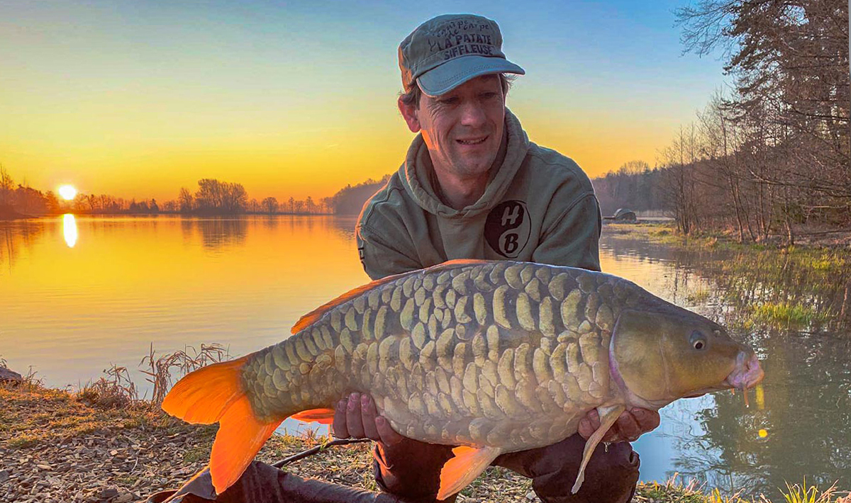 Karper Betaalwater Tsjechie Katlov Karpervissen Karper Tsjechie 11
