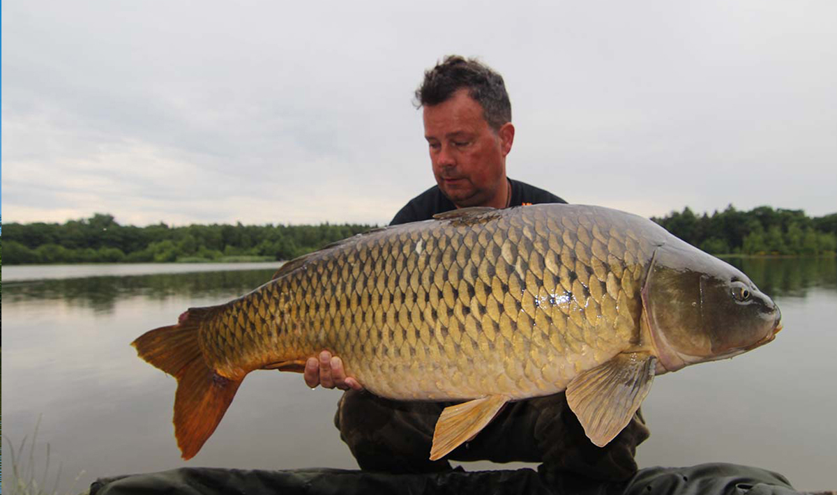 Karper Betaalwater Tsjechie Katlov Karpervissen Betaalwater Visvakantie 12