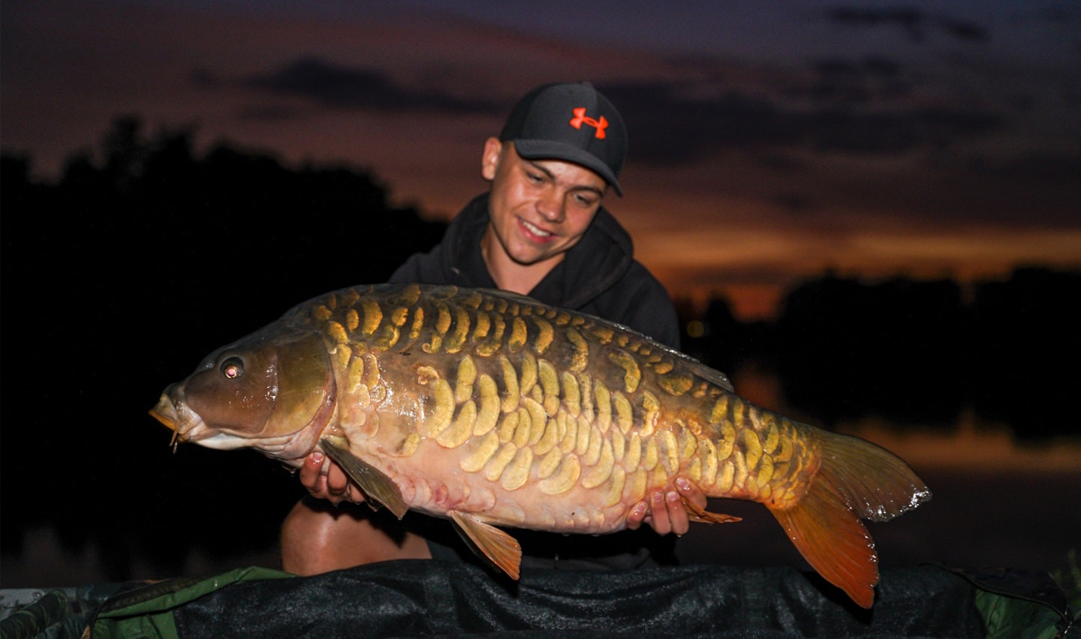 Karper Betaalwater Tsjechie Katlov Karpervissen Karper Karpervissen 3