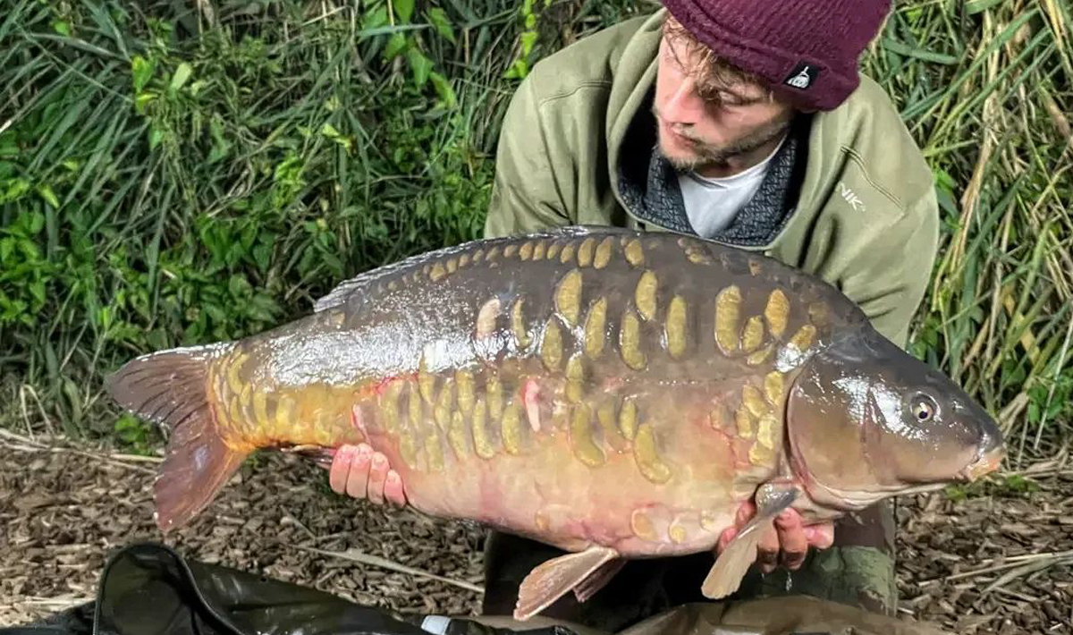 Karper Betaalwater Tsjechie Katlov Karpervissen Karper Katlov 5