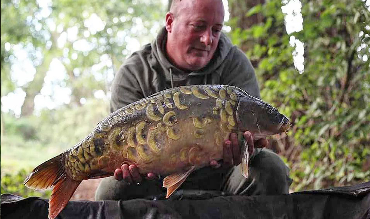 Karper Betaalwater Tsjechie Katlov Karpervissen Karper Tsjechie 6
