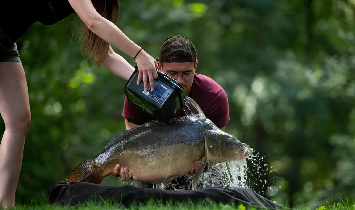 Karper Betaalwater Tsjechie Katlov Karpervissen Betaalwater Visvakantie 7
