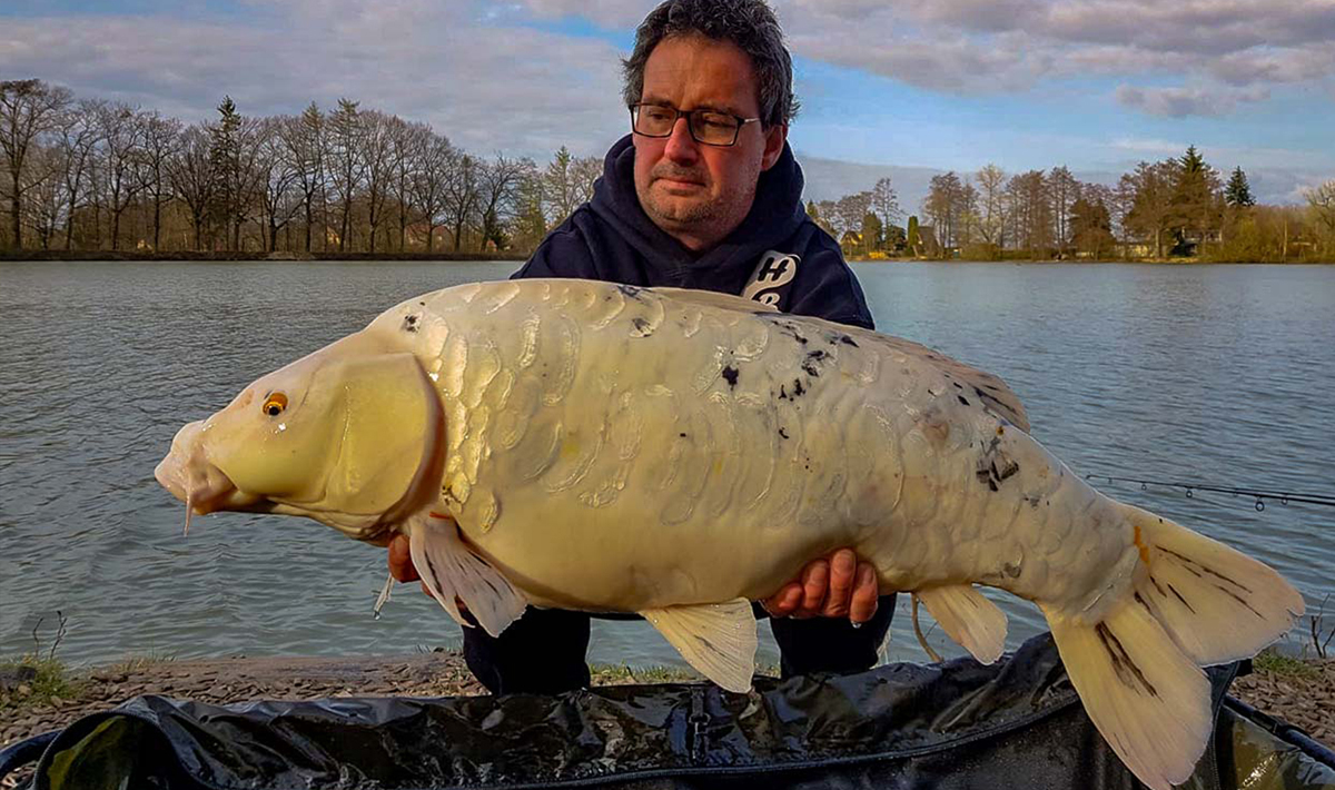 Karper Betaalwater Tsjechie Katlov Karpervissen Katlov Karpervissen Visvakantie
