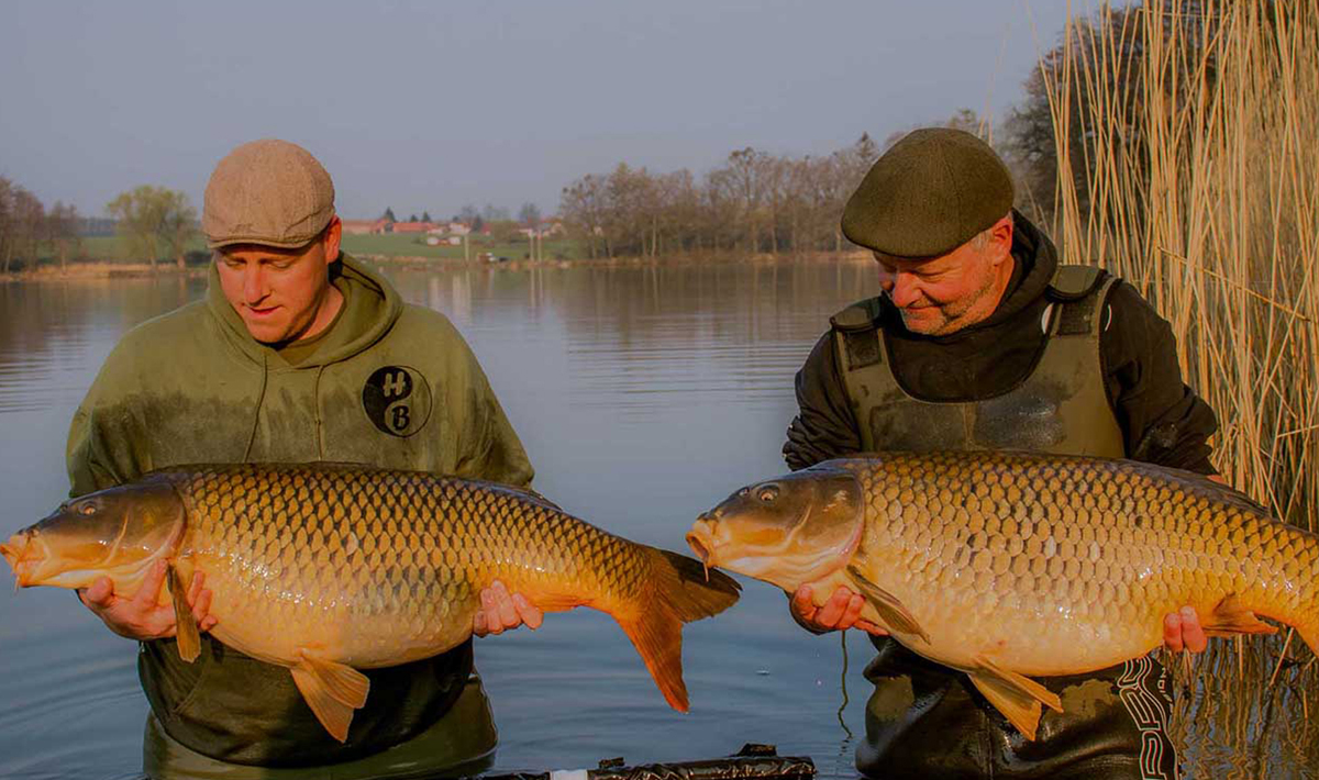 Karper Betaalwater Tsjechie Katlov Karpervissen Betaalwater Karpervissen 9
