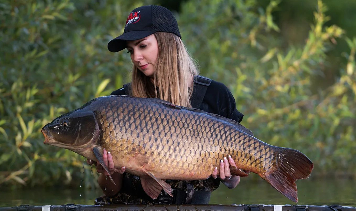 Karpers Medenice Carplake Karpervissen In Medenice Carplake Tsjechie
