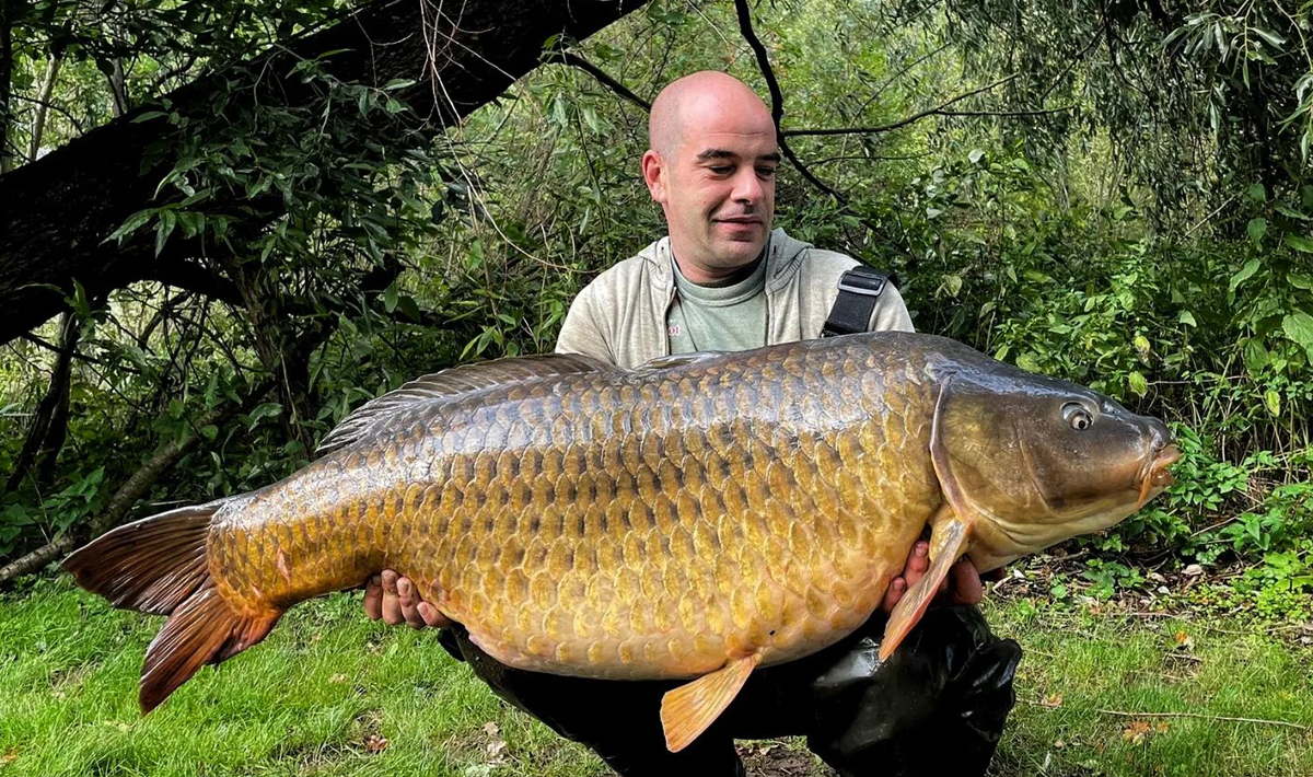 Karpers Medenice Carplake Karpervissen In Karpers In Tsjechie