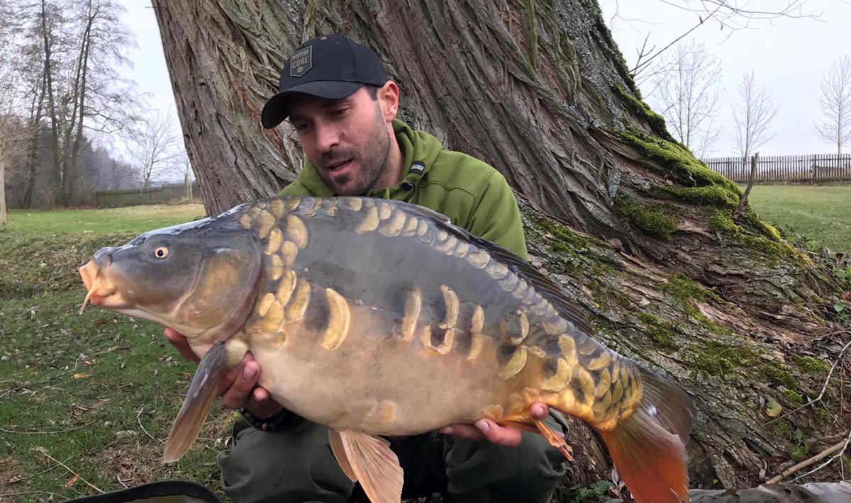 Karpers Medenice Carplake Karpervissen In Medenice Carplake In