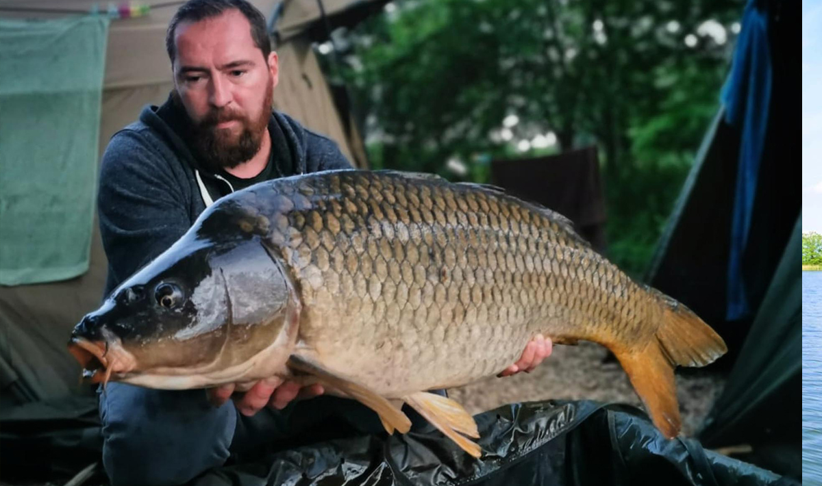 Karpers Medenice Carplake Karpervissen In Karpervissen Tsjechie 7