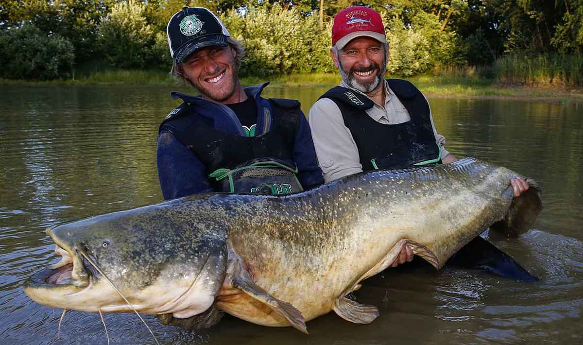 Meerval Betaalwater Meervalvissen Pohan Katlov Meerval Pohan 3