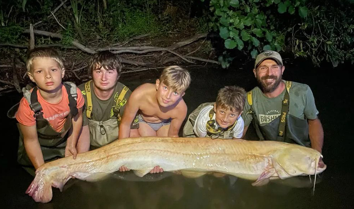 Meerval Betaalwater Meervalvissen Pohan Katlov Meerval Betaalwater 4