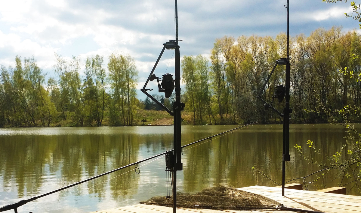 Sfeer Betaalwater Meervalvissen Pohan Katlov Betaalwater Meervalvissen Katlov